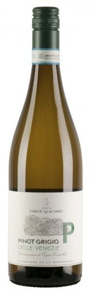 17. PINOT GRIGIO - Tenute Corte Giacobbe - 2024